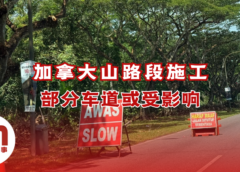 加拿大山路段疑进行修树工程