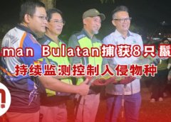 Taman Bulatan展开鬣蜥捕捉行动