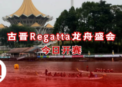 Regatta龙舟盛会今日开幕